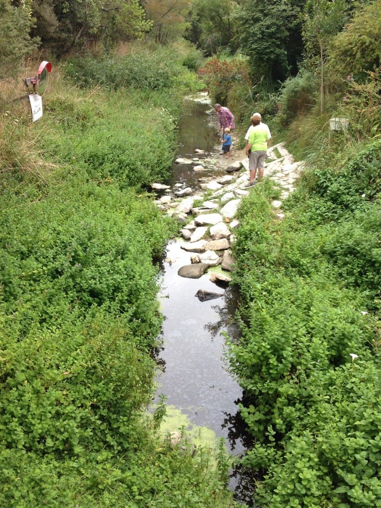 Eel Creek